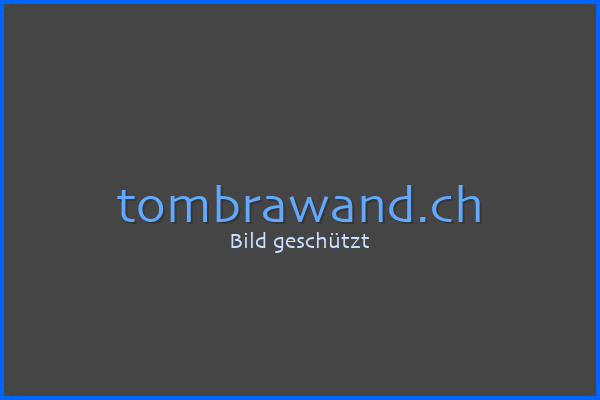 Vorschau der Website BRAWANDS